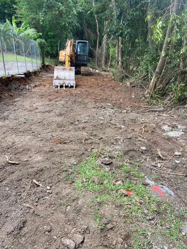 Terrain à SAINTE-LUCE