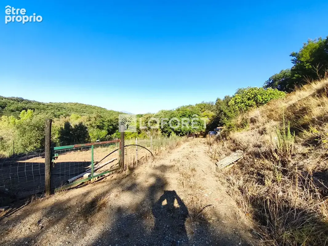 Terrain non constructible avec remise de 50 m² proche de Saint-Jean-Pla-de-Corts - photo 3