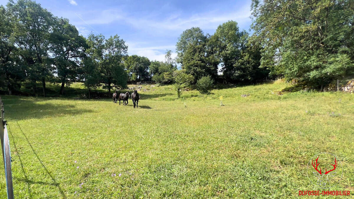 Propriété avec potentiel rare d'activités multiples au coeur du Lot - photo 22