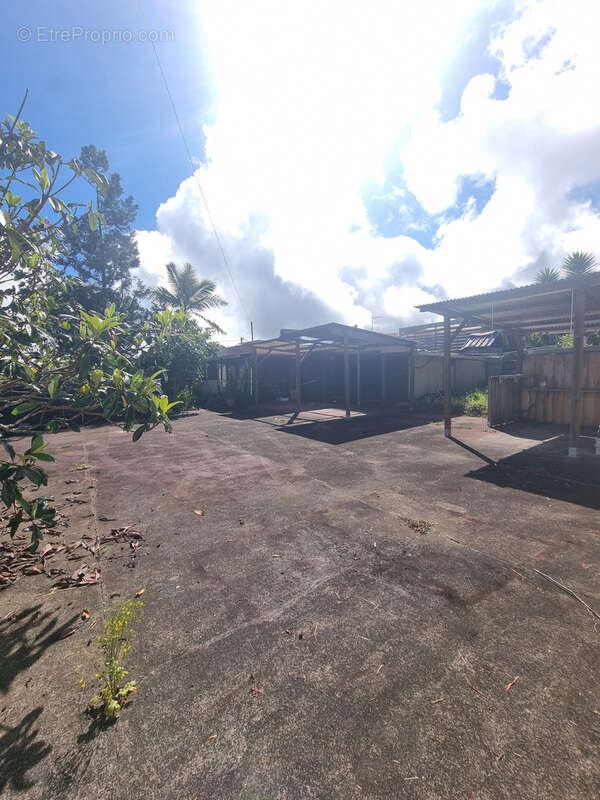 Maison à LA PLAINE-DES-PALMISTES