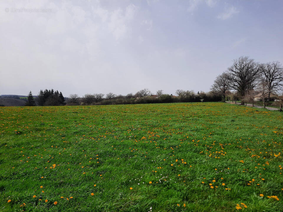 Photo Terrain à Roannes-Saint-Mary au prix de 42 000€
