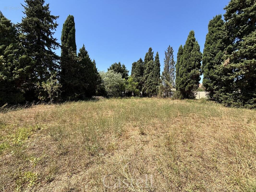 Terrain à VIAS