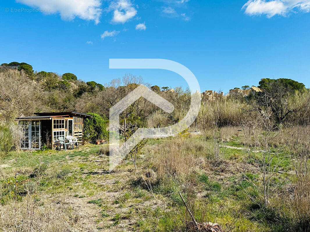 Terrain à ILLE-SUR-TET