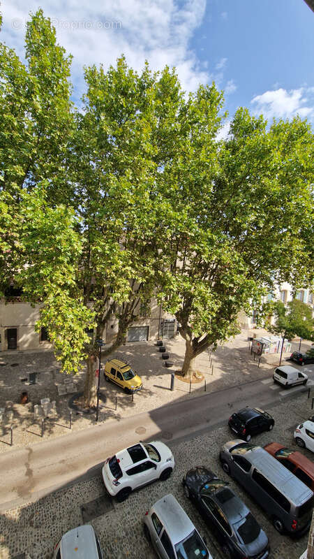Appartement à LODEVE