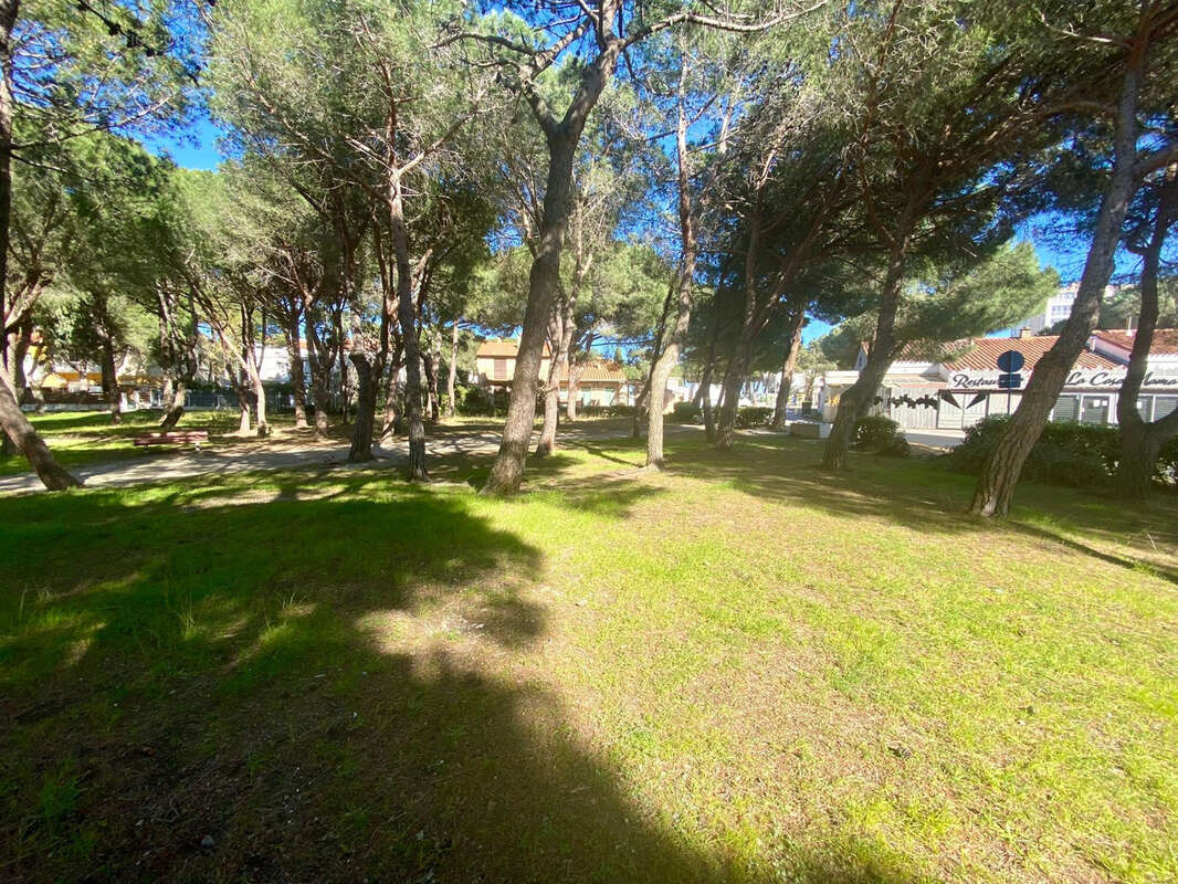 Commerce à ARGELES-SUR-MER