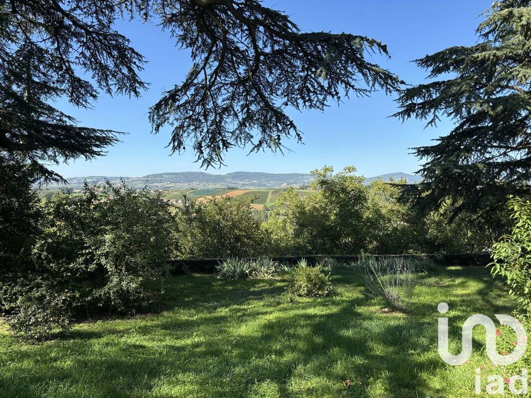 Photo 1 - Appartement à POMMIERS