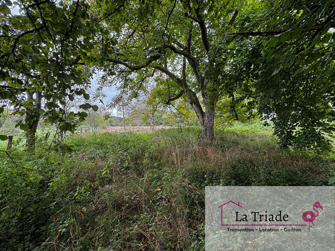 Maison à CLAIREGOUTTE