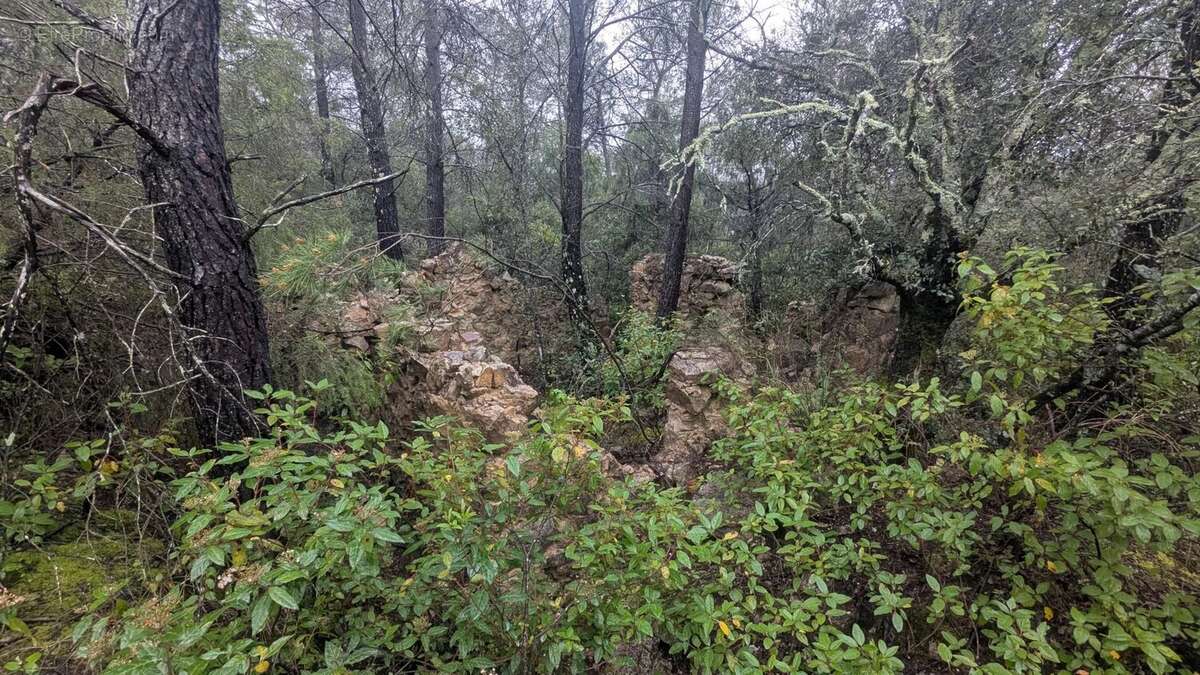 COTIGNAC - Rare à la vente 13.992m² boisés avec ruines de cabanon - photo 2