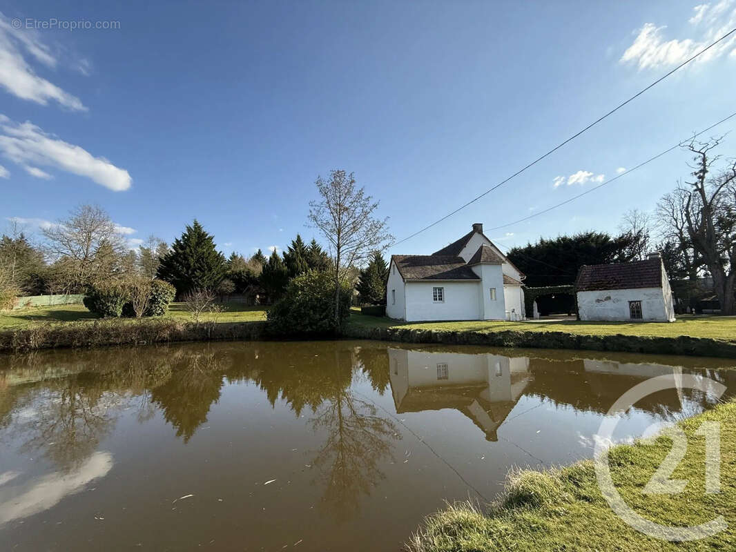 Maison à VILLENEUVE-SUR-ALLIER