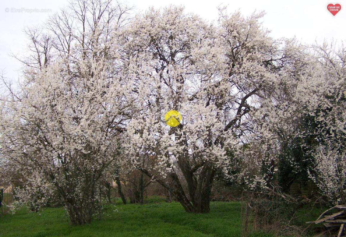 Maison à SAINT-FLORENT-SUR-CHER