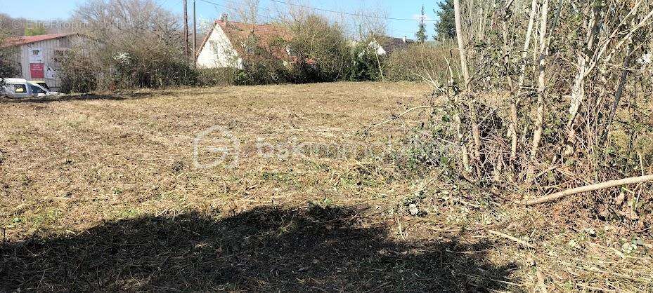 terrain constructible - photo 3