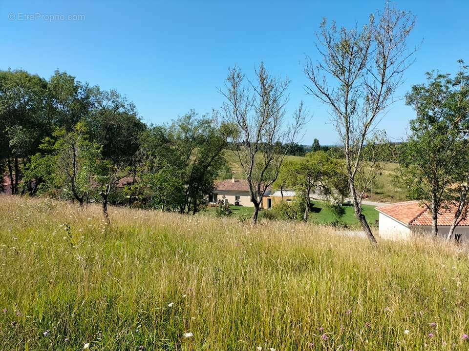Terrain constructible Mauvezin(32120) 952m² - photo 4