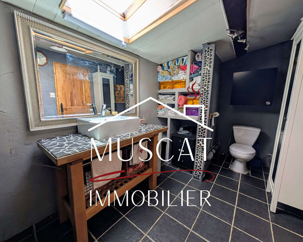 Maison à SATOLAS-ET-BONCE