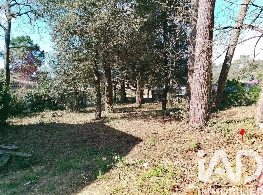 Photo 1 - Terrain à JARD-SUR-MER