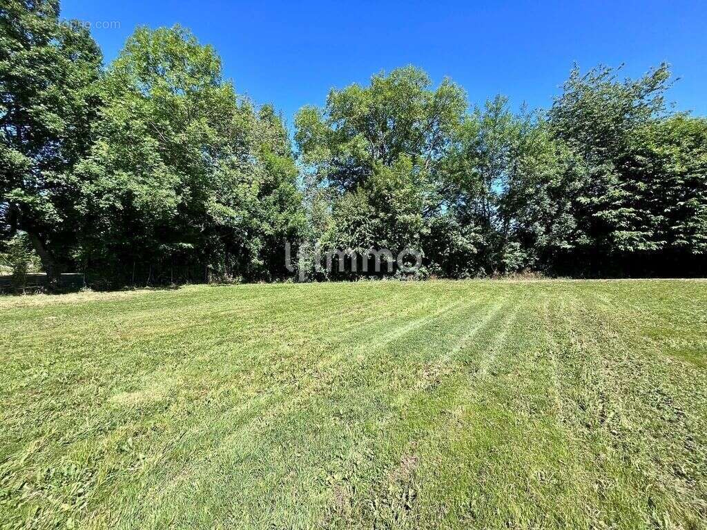 Terrain constructible 4 300 m², eau et électricité installées - photo 5