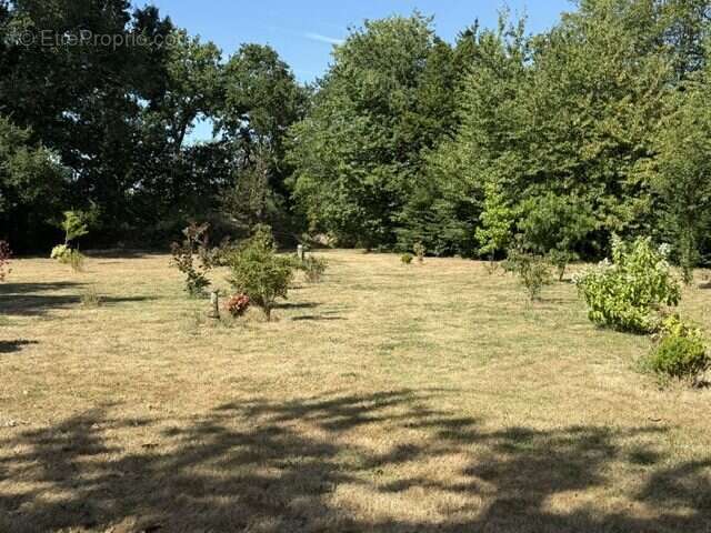 Maison 190 m² à Saint-Domineuc  - photo 3
