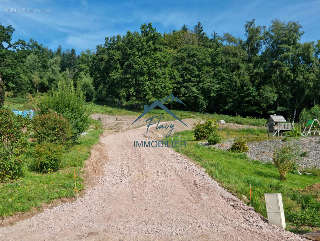 Terrain de 8385 m2 dont 3542m2 constructible - 15min de Gérardmer - photo 4