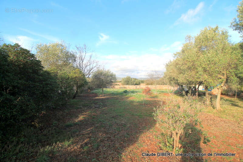 Maison à BALARUC-LE-VIEUX