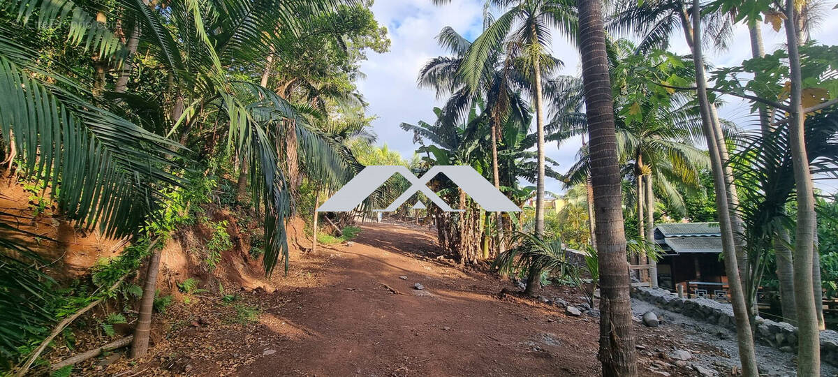 Terrain à LES AVIRONS