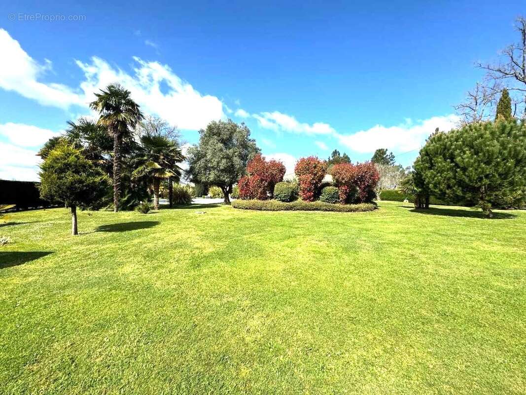 Photo-2025/030953-1-5 - Autre à MONT-DE-MARSAN