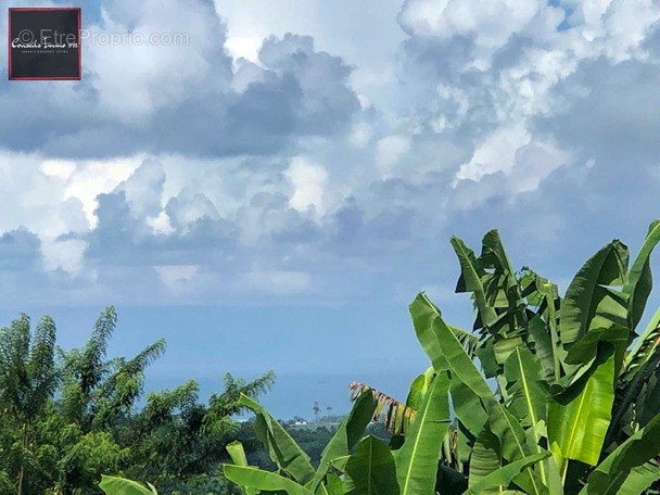 Appartement à GROS-MORNE