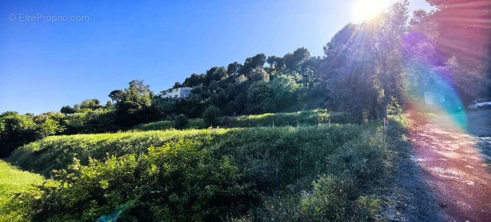 Terrain à SAINT-LAURENT-DU-VAR
