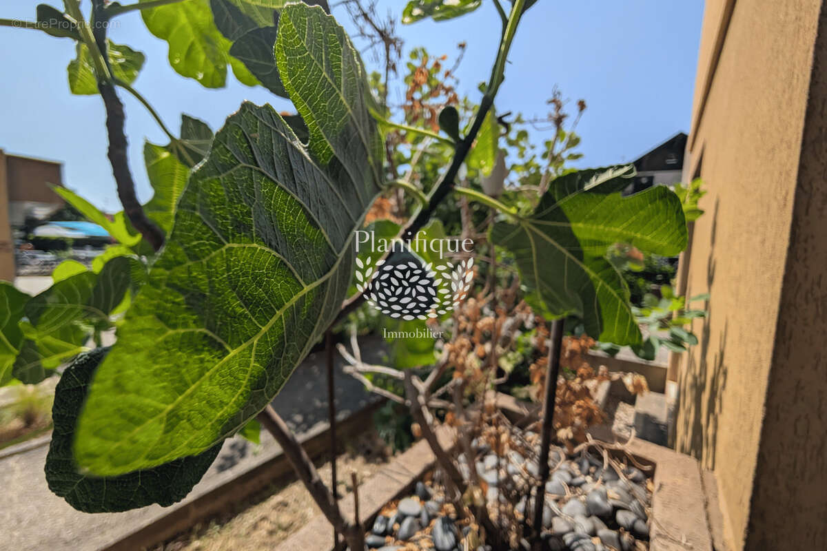 Appartement à ANNECY-LE-VIEUX