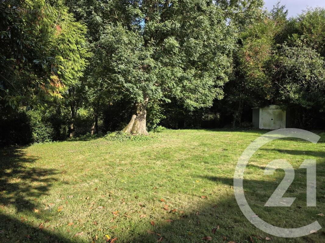 Terrain à DAMMARTIN-EN-GOELE