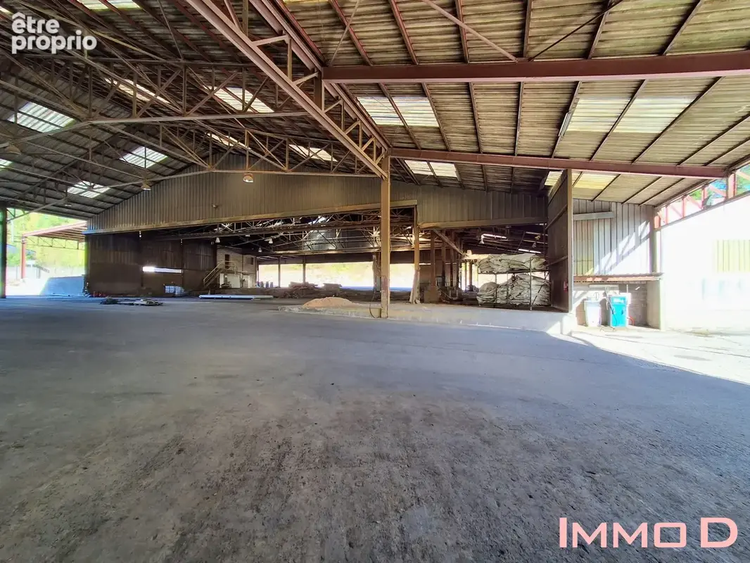 Commerce 3 400 m² à vendre à Docelles (88460) - photo 6