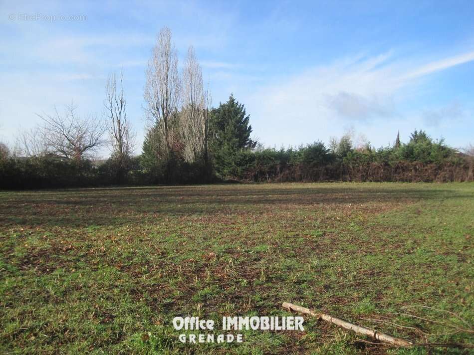 Terrain à LE BURGAUD