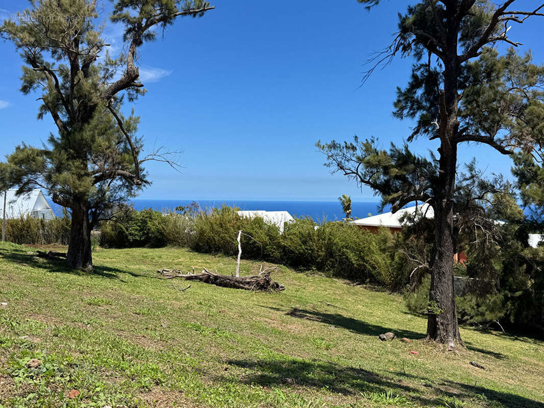 Terrain à SAINT-DENIS