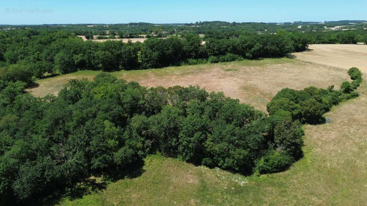 Château du XVIIIe siècle, entièrement rénové selon des normes rigoureuses et situé dans un parc arboré avec piscine et terrasses - photo 34