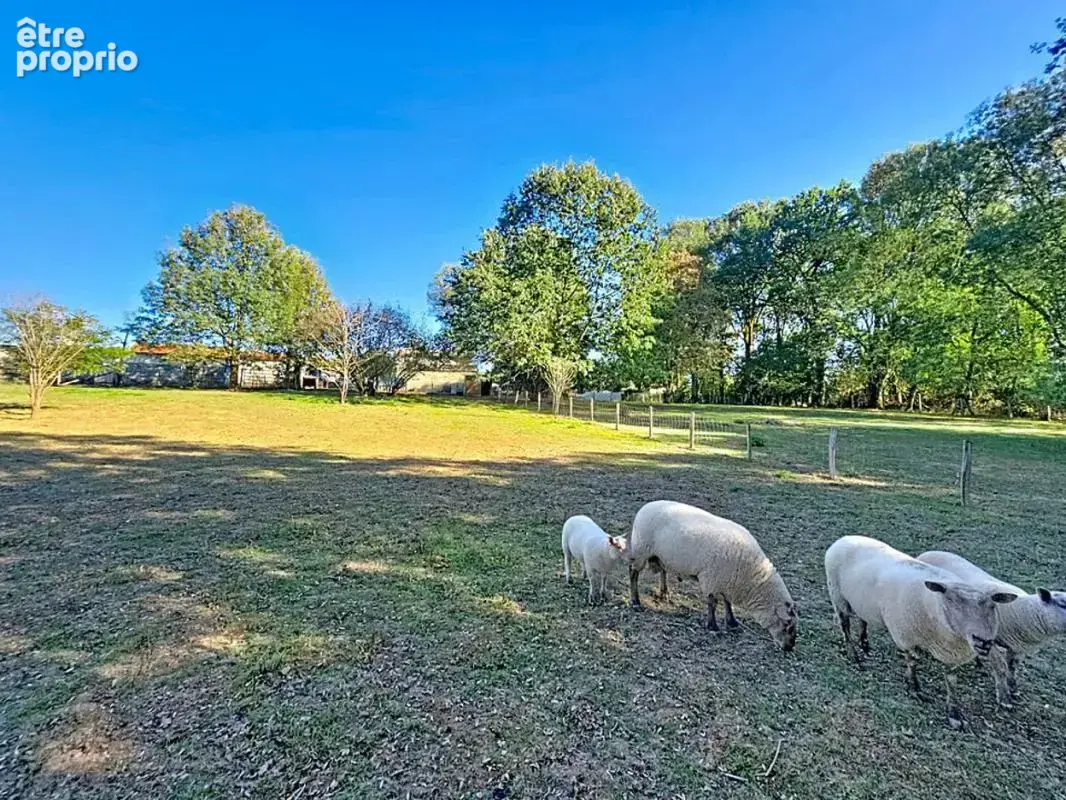 Maison 9 pièces 310 m² à vendre à Surin (79220) - photo 31