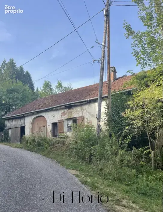 Moussey - Ferme de 1880  à rénover - Proche de l'Alsace - photo 1