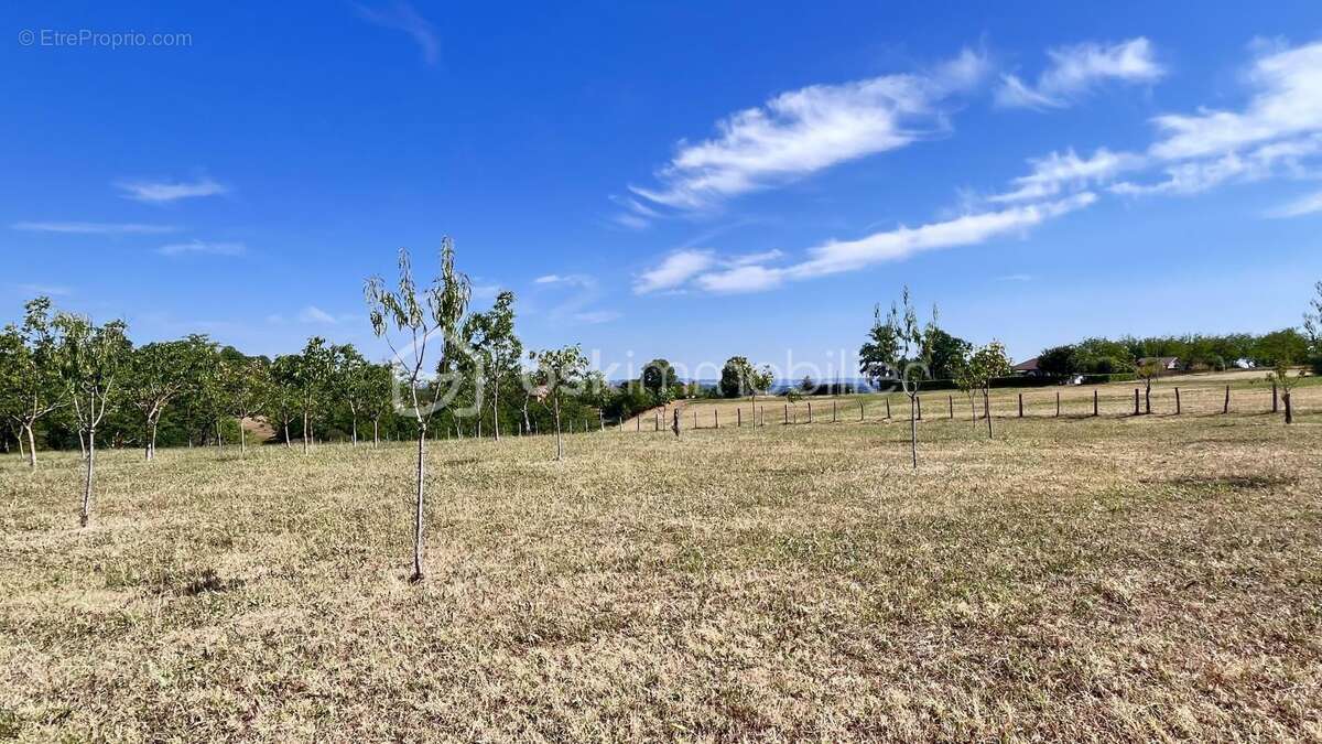  L'Écrin du Verger – Terrain constructible d'environ 2 000 m² à Nailhac - photo 3