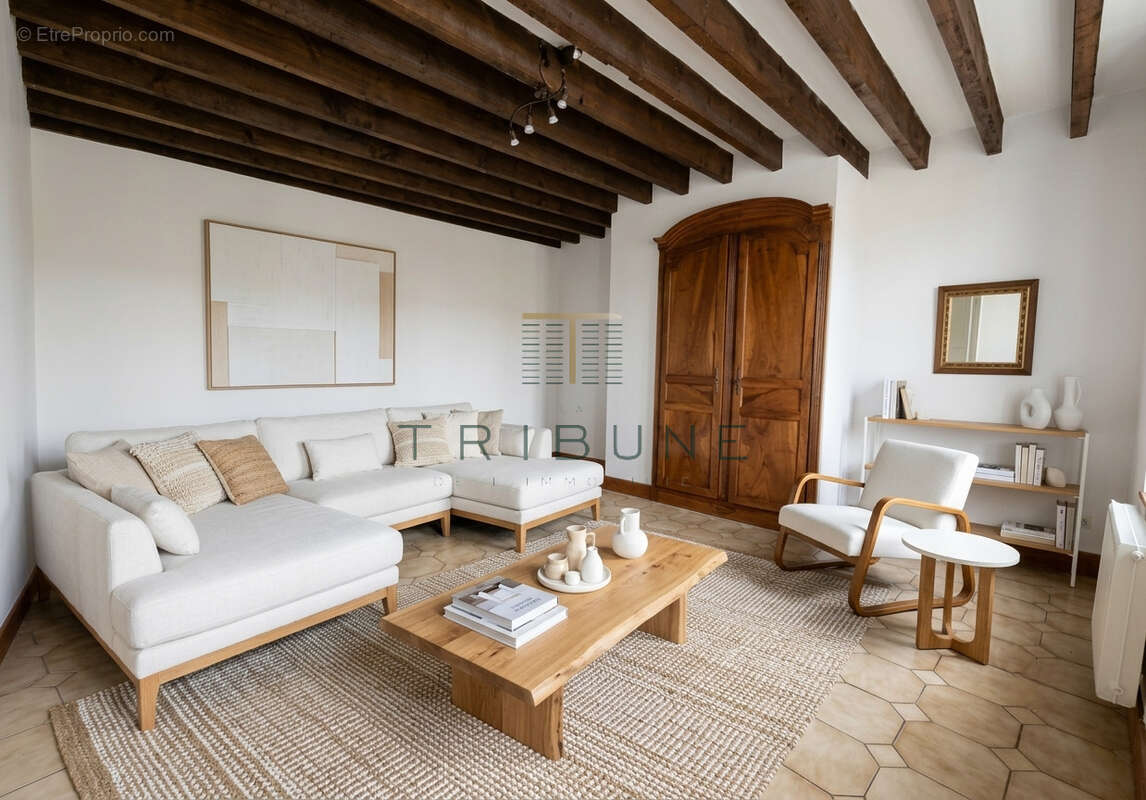 Maison de maître Laplume 10 pièce avec jardin - photo 2
