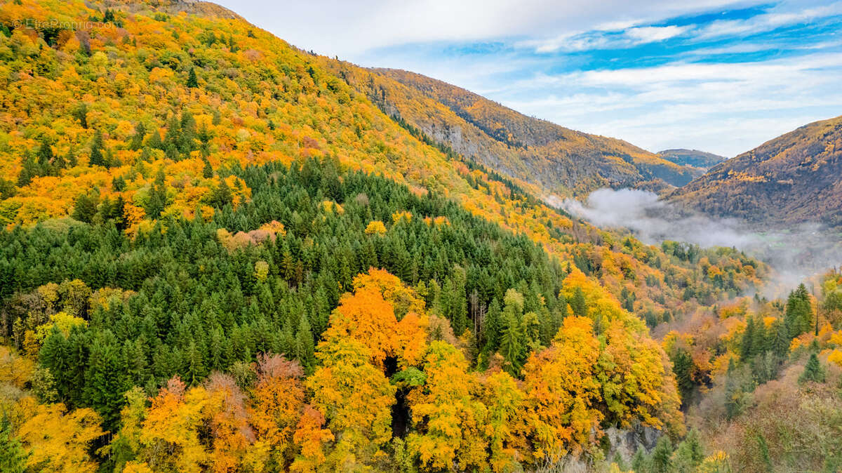 Maison à SAINT-JEOIRE
