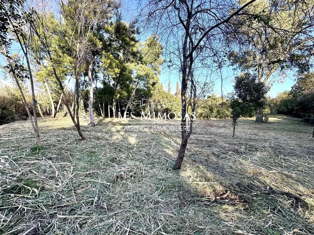 Terrain à FREJUS