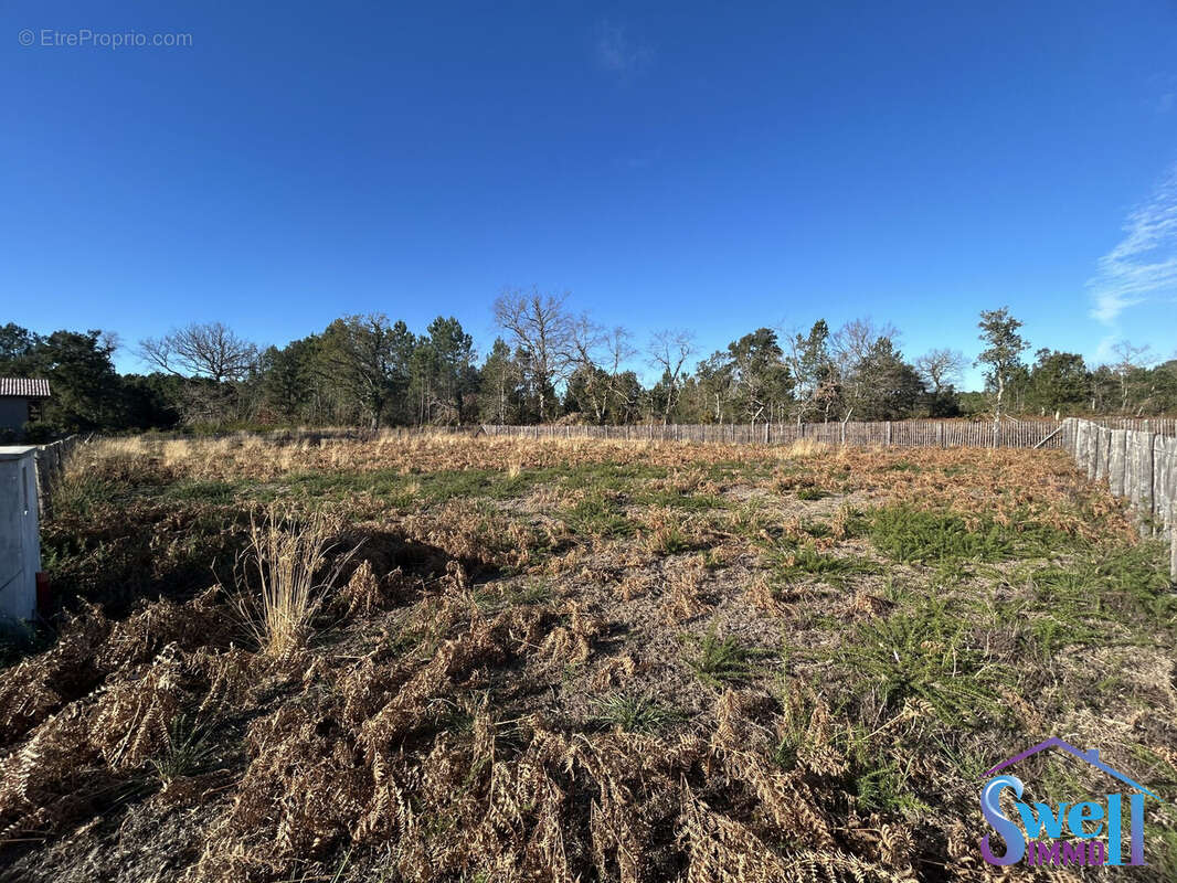 Terrain à MOLIETS-ET-MAA
