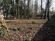 Terrain à CONGIS-SUR-THEROUANNE