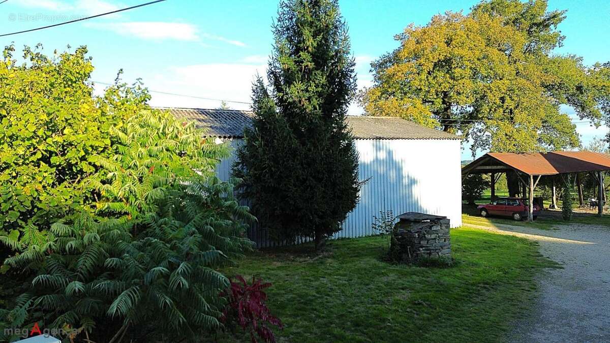 Maison à SAINT-MARTIN