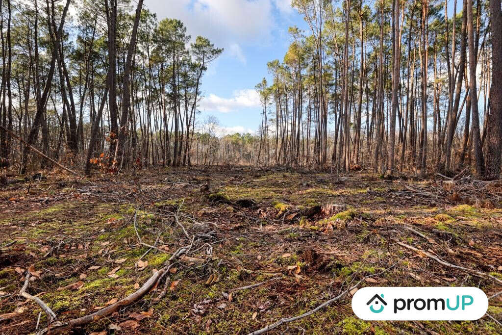 Terrain à VILLEFRANCHE-SUR-CHER