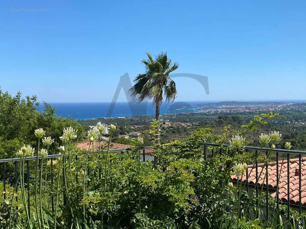 Maison à VILLENEUVE-LOUBET