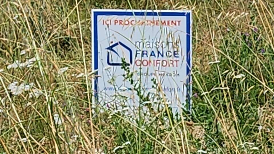 Terrain à SAINT-LYS