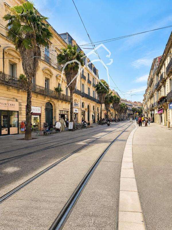 Local a usage professionnel  100m²  montpellier-centre (34000) - photo 7