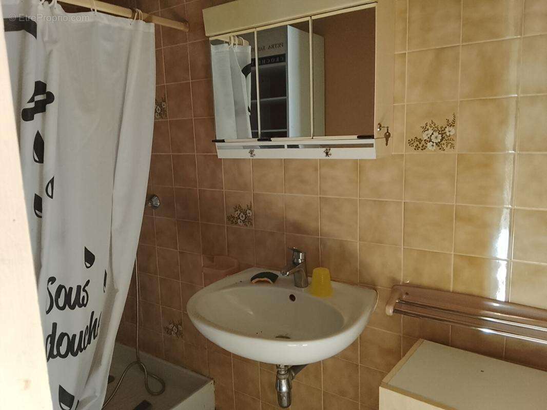 Maison Le  Petit Pressigny 8 pièce(s) 200 m2 - photo 5