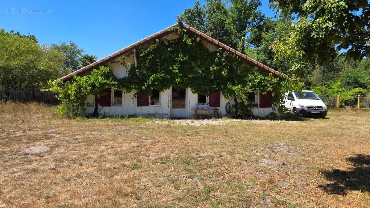 Magnifique et authentique Airial des Landes - photo 38
