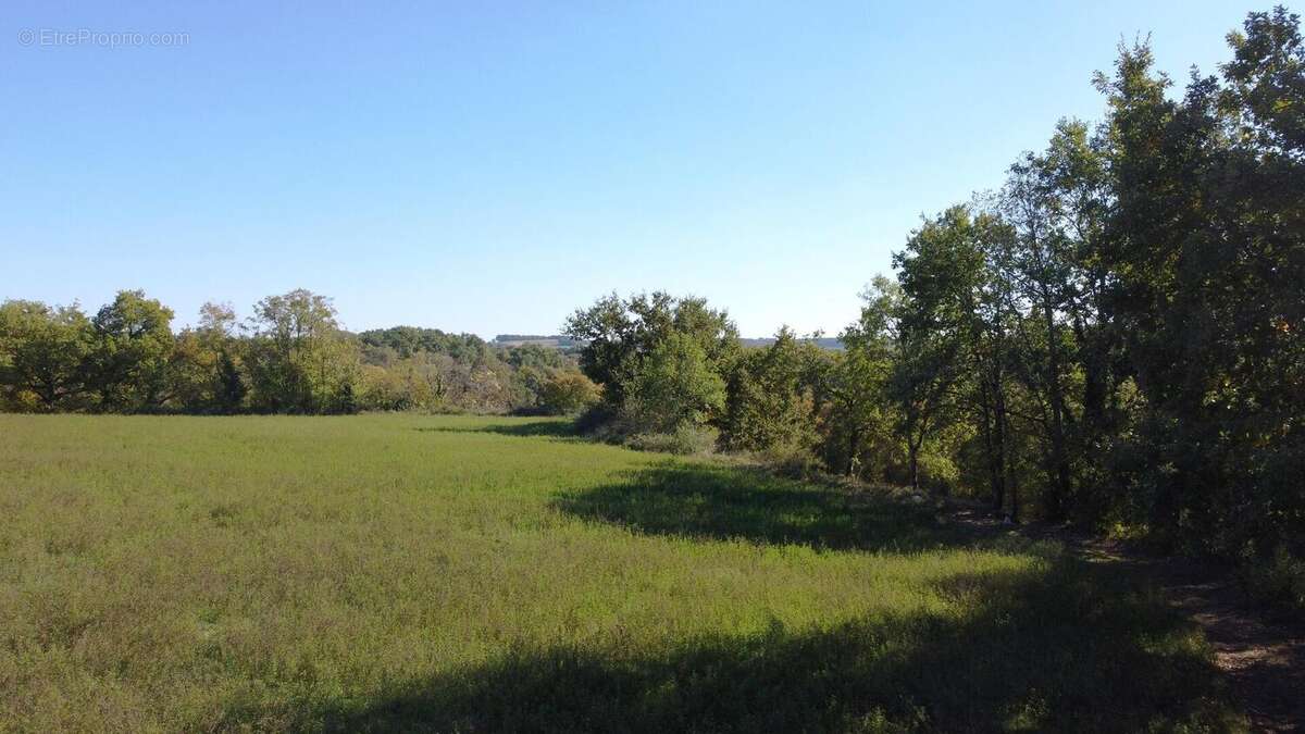 djiexport1760707834266 - Maison à SAINT-PUY