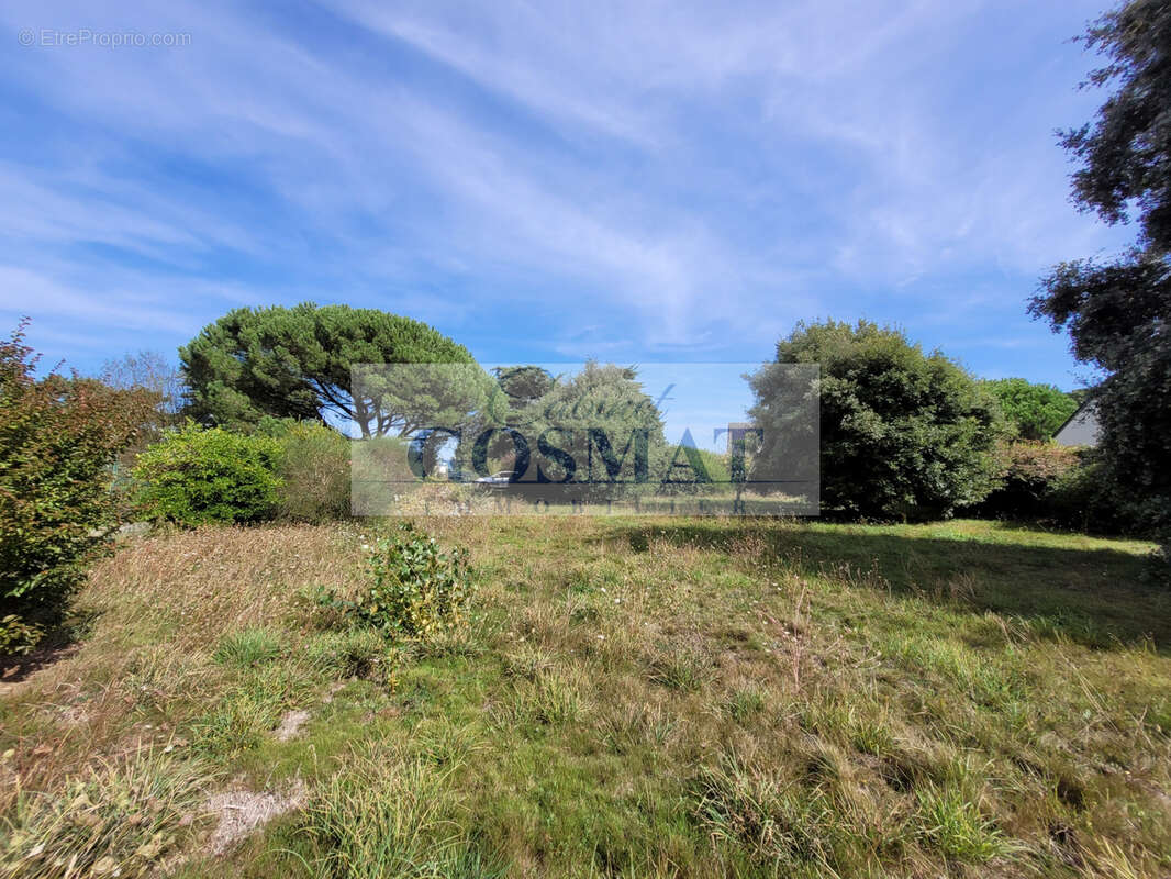 Terrain à DAMGAN