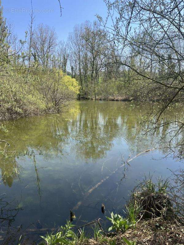 Terrain à MOREUIL